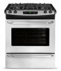 Get Frigidaire FFGS3025PS PDF manuals and user guides