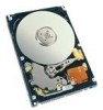 Get Fujitsu MHV2040AT - Hard Drive - 40 GB PDF manuals and user guides