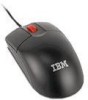 Get Lenovo 06P4069 - ThinkPlus USB Optical Wheel Mouse PDF manuals and user guides