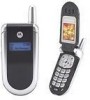 Get Motorola V180 - Cell Phone 1.8 MB PDF manuals and user guides