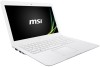 Get MSI S30 PDF manuals and user guides