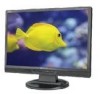 Get NEC LCD22WMGX - AccuSync - 22inch LCD Monitor PDF manuals and user guides