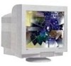 Get NEC FE1250 - MultiSync - 22inch CRT Display PDF manuals and user guides