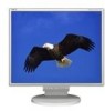 Get NEC LCD195NXM - MultiSync - 19inch LCD Monitor PDF manuals and user guides