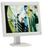Get NEC LCD2110 - MultiSync - 21.3inch LCD Monitor PDF manuals and user guides
