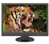 Get NEC LCD22WV-BK - AccuSync - 22inch LCD Monitor PDF manuals and user guides