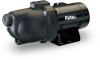 Get Pentair Pentair Flotec FP4032 1 HP Thermoplastic Shallow Well Jet Pump PDF manuals and user guides