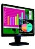 Get Philips 190B9 - Brilliance - 19inch LCD Monitor PDF manuals and user guides