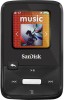 Get SanDisk SDMX22-004G-A57K PDF manuals and user guides