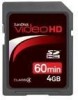 Get SanDisk SDSDHV-004G-A15 - Video HD Flash Memory Card PDF manuals and user guides