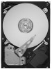 Get Seagate ST1000DL002 PDF manuals and user guides