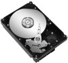 Get Seagate ST250DM000 PDF manuals and user guides