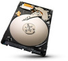 Get Seagate ST250LT009 PDF manuals and user guides
