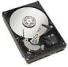 Get Seagate ST31000340AS - 1TB SATA/300 7200RPM 32MB Hard Drive PDF manuals and user guides