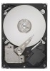 Get Seagate ST31000524AS PDF manuals and user guides