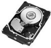 Get Seagate ST3146855LC - Cheetah 146.8 GB Hard Drive PDF manuals and user guides