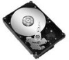 Get Seagate ST3160815A - 160GB UDMA/100 7200RPM 8MB IDE Hard Drive PDF manuals and user guides