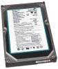 Get Seagate ST3200021A - 200GB UDMA/100 7200RPM 2MB IDE Hard Drive PDF manuals and user guides