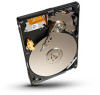 Get Seagate ST320LT023 PDF manuals and user guides