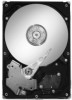 Get Seagate ST3500630NS PDF manuals and user guides