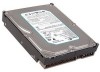 Get Seagate ST3500830A - 500GB UDMA/100 7200RPM 8MB IDE Hard Drive PDF manuals and user guides