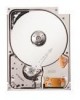 Get Seagate ST730212DE - Lyrion 30 GB Hard Drive PDF manuals and user guides