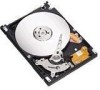Get Seagate ST9402116AB - Momentus 5400.3 Blade Server 40 GB Hard Drive PDF manuals and user guides