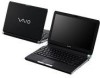 Get Sony VGNTT190PAB - VAIO TT Series PDF manuals and user guides
