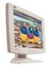 Get ViewSonic VE170 - 17inch LCD Monitor PDF manuals and user guides