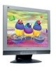 Get ViewSonic VG900 - 19inch LCD Monitor PDF manuals and user guides