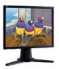 Get ViewSonic VP191B - 19inch LCD Monitor PDF manuals and user guides