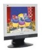 Get ViewSonic VX900 - 19inch LCD Monitor PDF manuals and user guides