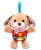 Get Vtech Cuddle & Sing Puppy PDF manuals and user guides