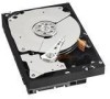 Get Western Digital WD1002FBYS - RE3 1 TB Hard Drive PDF manuals and user guides