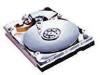 Get Western Digital WD307AA - Caviar 30.7 GB Hard Drive PDF manuals and user guides