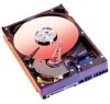 Get Western Digital WD3200KSRTL - Caviar 320 GB SATA Hard Drive PDF manuals and user guides