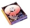 Get Western Digital WD800JDDTL - WD800JD Caviar SE 80GB SATA-150 Hard Drive PDF manuals and user guides