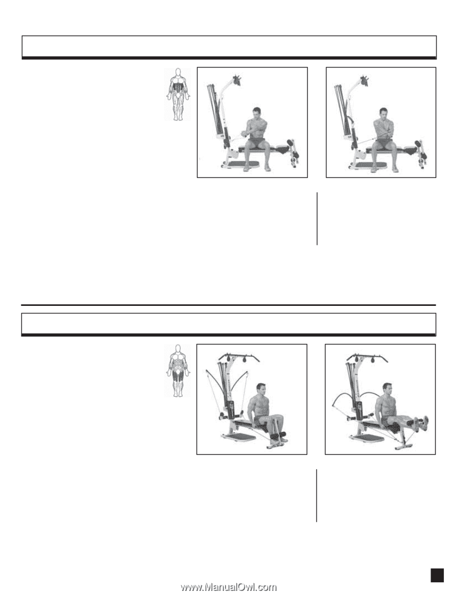 Bowflex Motivator Exercise Chart
