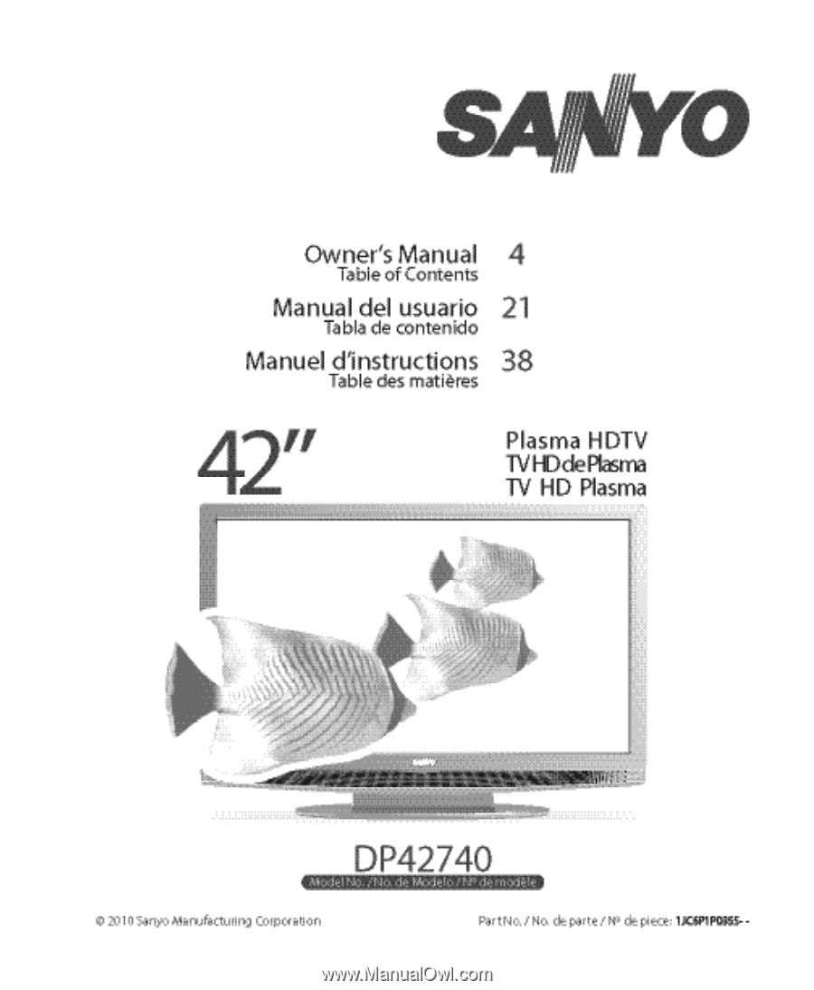 Sanyo DP42740 | Owners Manual