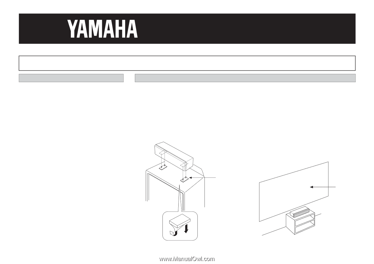 Yamaha NS-C50 | Owner's Manual