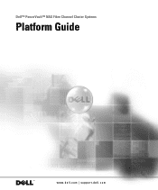 Dell PowerVault 775N Dell
      PowerVault NAS Fibre Channel Cluster Platform Guide