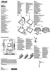 Asus AM1M-A Setup Guide