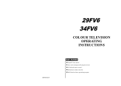 Haier 29FV6 User Manual