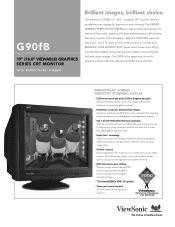 ViewSonic G90FB Brochure