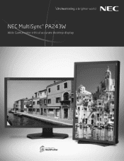 Sharp PA243W NEC MultiSyncr Specification Brochure