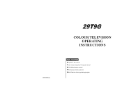 Haier 29T9G User Manual
