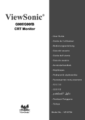 ViewSonic G90FB User Manual