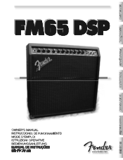 Fender FM 65 DSP Owners Manual