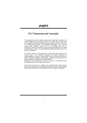 Biostar P4TPT800 P4TPT user's manual