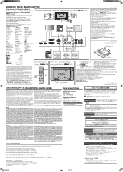 NEC P462-AVT Setup Manual